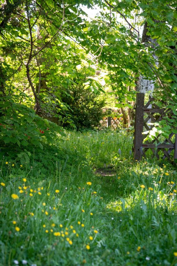 Landhauswohnung Mit Wildromantischem Garten Füssen Kültér fotó